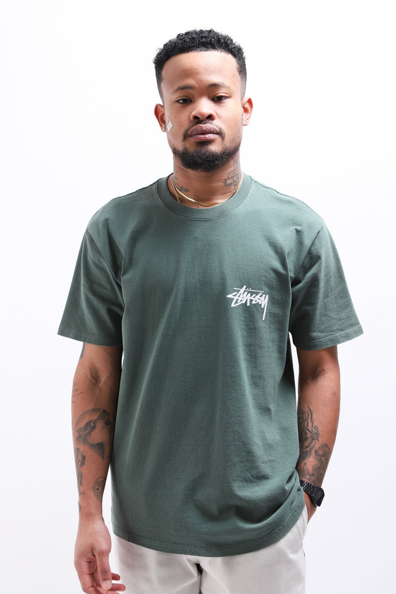 Young moderens pig dyed tee Pine