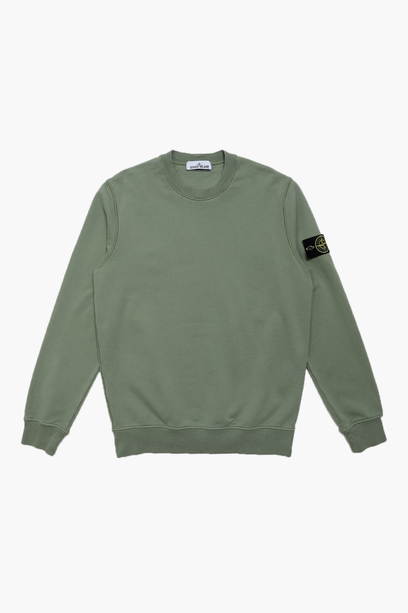63051 crewneck sweater v0055 Salvia