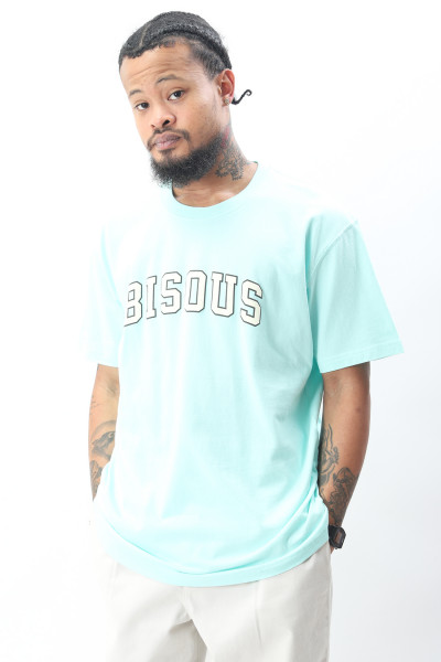 Bisous skateboards T-shirt bisous college Mint - GRADUATE STORE