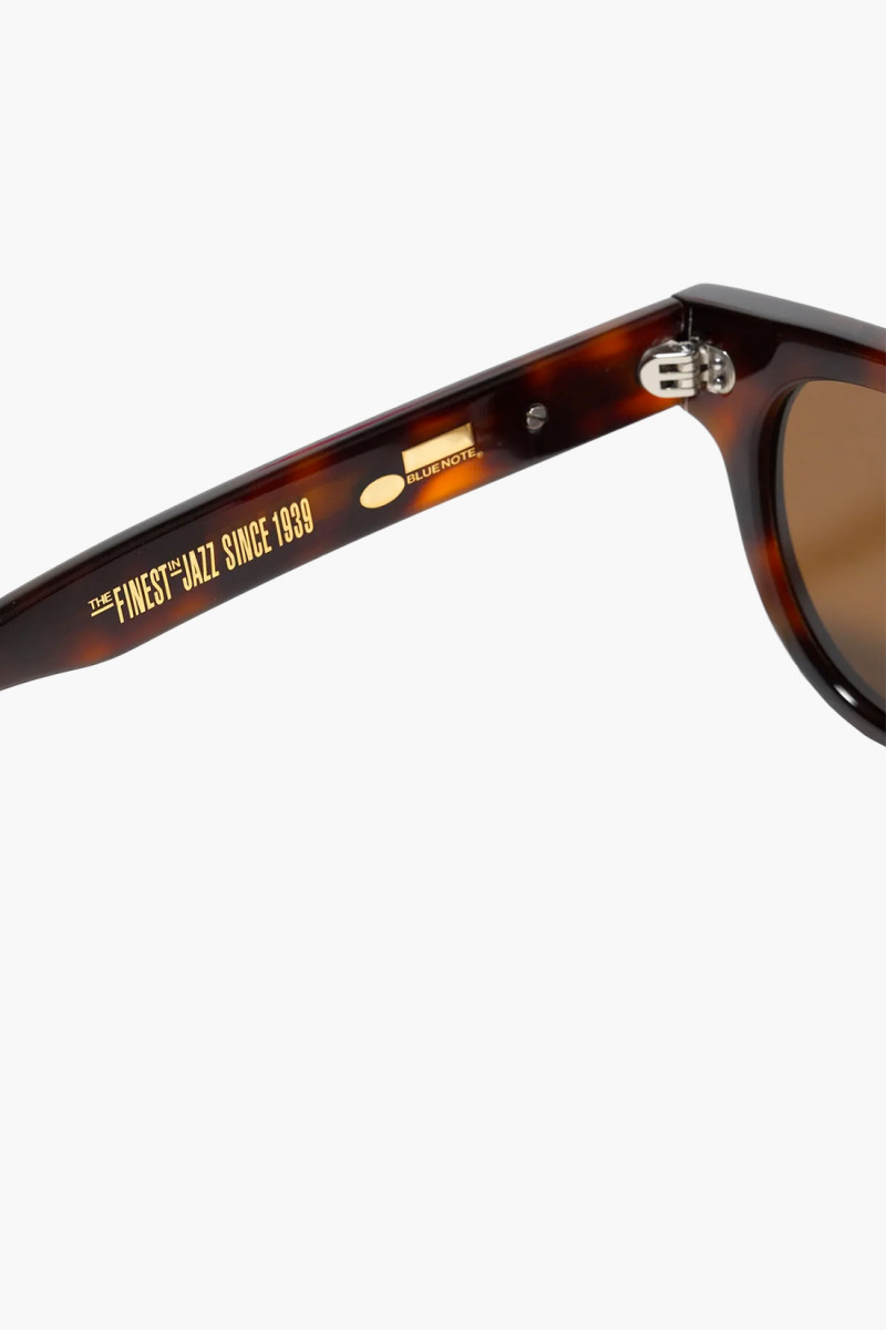 Conquistador sunglasses Tortoise shell