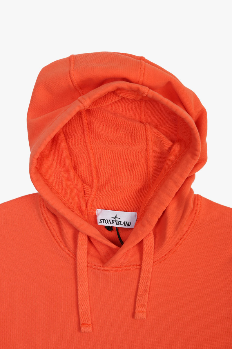 00045 hooded sweater v008a Papaia