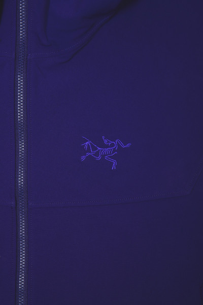 Arc'teryx Gamma hoody Soulsonic - GRADUATE STORE