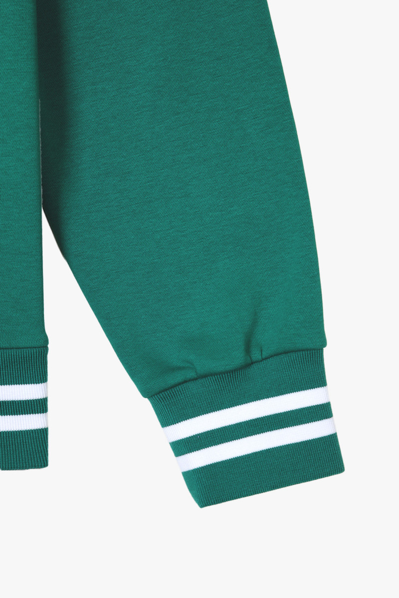 Polo sport half zip sweat Green